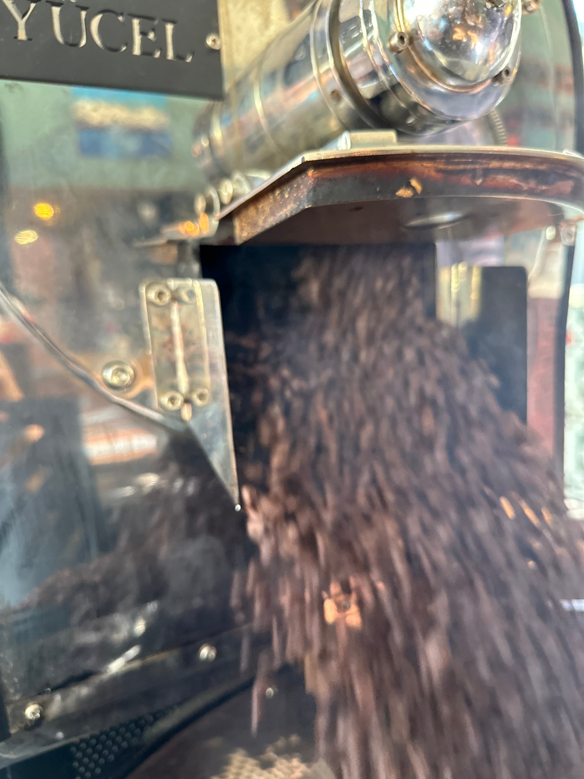 Roasted coffee beans exiting the Yucel roaster drum and entering the cooling tray